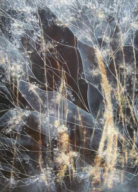 Drought, fire, forest 100 x 70 cms